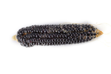 Black corn isolated on white