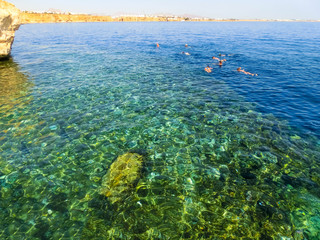 Coral pillars in the Red Sea, Egypt