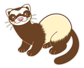 Cute cartoon ferret