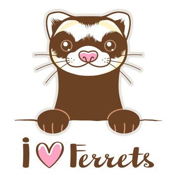 Premium Vector | Ferret cartoon weasel animals stoat mink