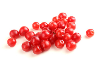 Nanking cherry isolated on white