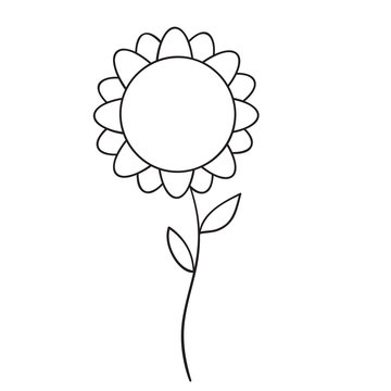 primitive flower daisy or sunflower flower, outline drawing, isolated object on white background,