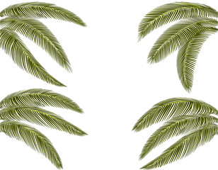 Tropical Various forms of dark green palm leaves. Drawn on four sides. illustration