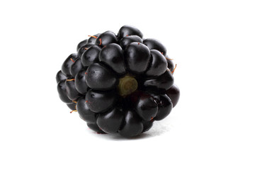 Blackberry isolated on white