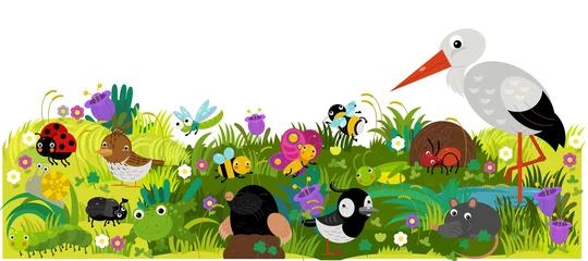 Tuinposter cartoon scene with different european animals rodents and bugs on the forest meadow illustration © honeyflavour