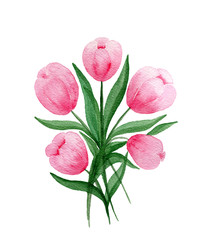 watercolor pink tulips bouquet isolated on white, bright and feminine floral design, mothers day spring floral bouquet