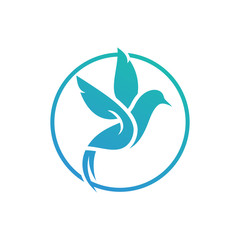 Obraz premium Hummingbird logo template, Bird icon design vector