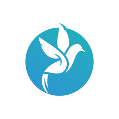 Hummingbird logo template, Bird icon design vector