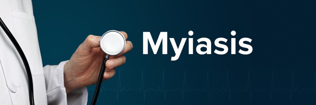 Myiasis. Arzt im Kittel h&auml;lt Stethoskop. Das Wort Myiasis steht daneben. Symbol f&uuml;r Medizin, Krankheit, Gesundheit