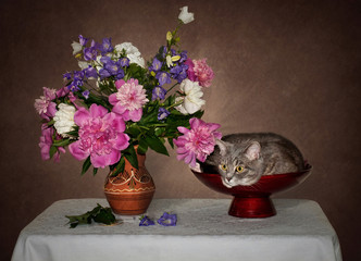 grey cat and flowers