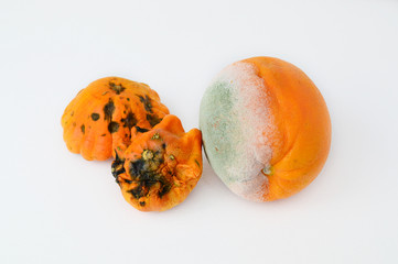 moldy orange and squash isolated on white background in a studio shot Rotten orange
