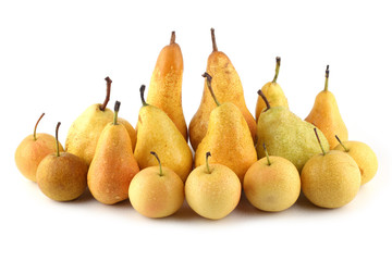 Different pear varieties