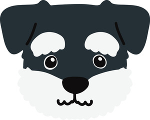 Miniature Schnauzer front head flat color