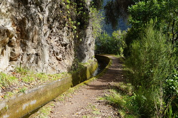 Sonnige Levadalandschaft (Levada da Ribeira da Janela)