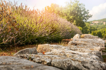 Stone background of free space and spring background 