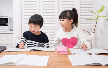 弟に勉強を教える姉
