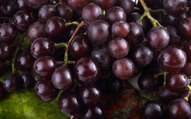Grape on autumn leaves background