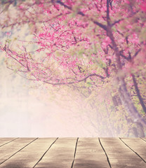 Sakura Cherry blossoming alley background with wooden table top for advertisment display © OHishi_Foto