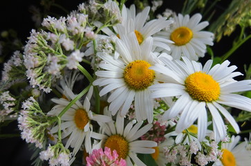 Fototapeta premium Bouquet of various wild flowers. Selective focus.