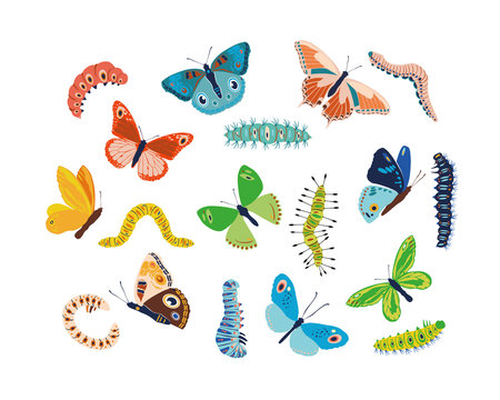 Set spring and summer colorful butterflies and caterpillars. Different cute silhouettes on white background. For festive card, logo, children, pattern, tattoo, decorative, concept. Vector illustration