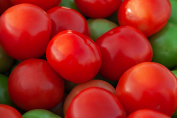 Background Image - Red and Green Tomatoes