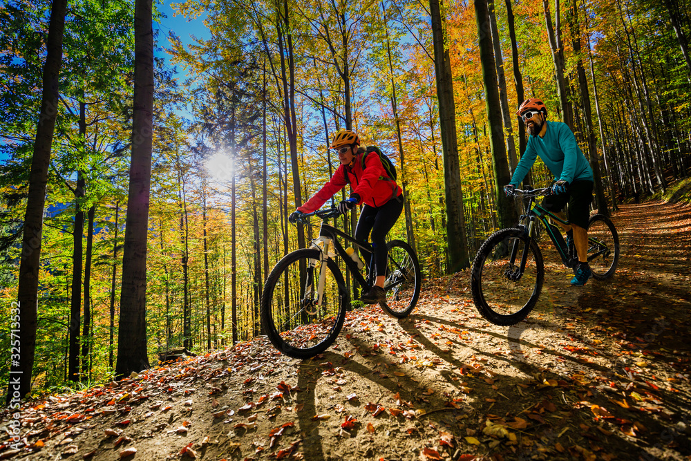 Wall mural cycling, mountain bikeing woman on cycle trail in autumn forest. mountain biking in autumn landscape