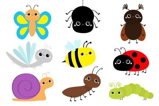 Insect set. Ladybug ladybird, beetle, dragonfly, green caterpillar, ant, butterfly, spider, honey bee, snail. Cute cartoon kawaii baby animal character. Flat design. White background. Isolated.