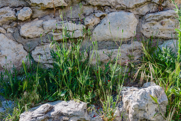 Stone walls - National archaeological park Chersonesos