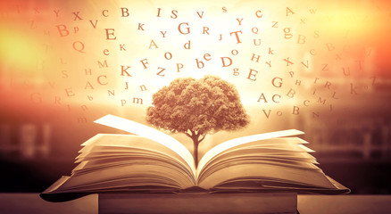 Imagine opening an old book blurred with magic power on the table and the English alphabet floating...