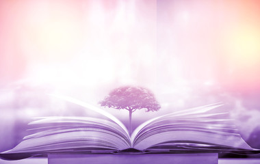 Imagine a picture book of an ancient book opened on a wooden table with a sparkling golden...