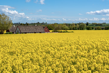 Farm house in the middle of farmland and fields, selective focuse