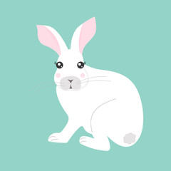 Fototapeta na wymiar Vector illustration of a white rabbit with a cute face and eyelashes.