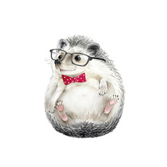 hedgehog cute animal in fashionable glasses and a bow tie on a white background, watercolor illustration © Lana