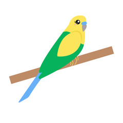 Vector illustration of a yellow and green budgie on a branch.