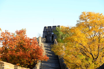 Fototapeta na wymiar The Great Wall in autumn