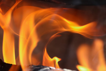 Burning firewood in the fireplace close up..