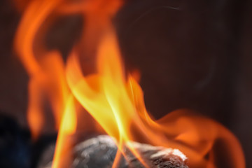 a burning fire and wood on fire,wood fire close up