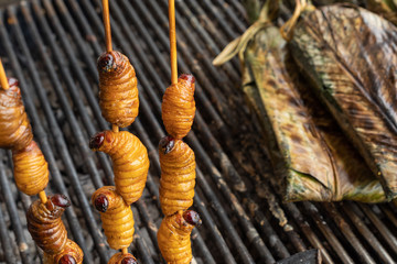 Edible palm weevil larvae (Rhynchophorus phoenicis) at traditional food market in Puerto Francisco...
