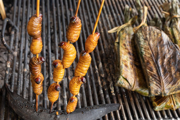 Edible palm weevil larvae (Rhynchophorus phoenicis) at traditional food market in Puerto Francisco...