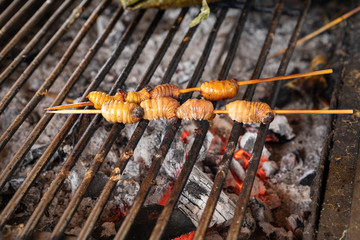 Edible palm weevil larvae (Rhynchophorus phoenicis) at traditional food market in Puerto Francisco...