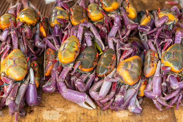 Ecuador, near Quitpo a stack of fresh local crabs.