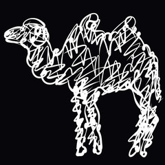 carelessly shaded camel with a looping contour on a black background