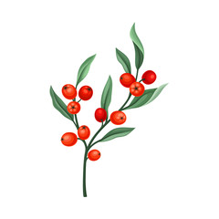 Rowanberry Twig with Green Leaves Isolated on White Background Vector Illustration