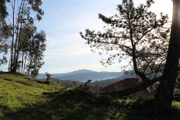 The Galician deciduous forest in the month of February