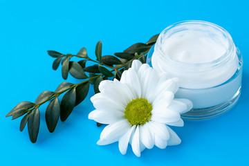 Fototapeta na wymiar Face cream in a glass bottle with white daisy flower on a blue background. Herbal natural cosmetic, skin care concept. Chamomile blossom and green branch.