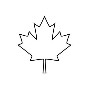 Maple leaf icon isolated on white background. Vector illustration