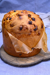 Traditional Italian sweed bread for Christmas panettone with raisins and lemon zest from Milan