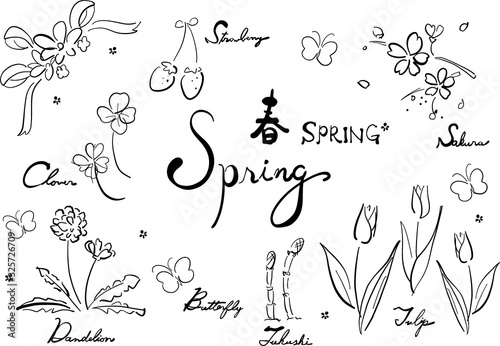 線画 単色 白黒 モノクロ グレー 春セット 春 Spring 春素材 春集合 ベクター セット 集合 素材 花 植物 春の花 桜 さくら サクラ チューリップ イチゴ いちご 苺 たんぽぽ タンポポ クローバー 四つ葉 つくし 土筆 蝶 蝶々