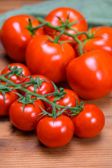 Red ripe tasty Dutch tomatoes growing indoor in greenhouse all seasons, food industry in Netherlands