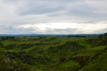 Vulkanlandschaft bei Wellington Neuseeland